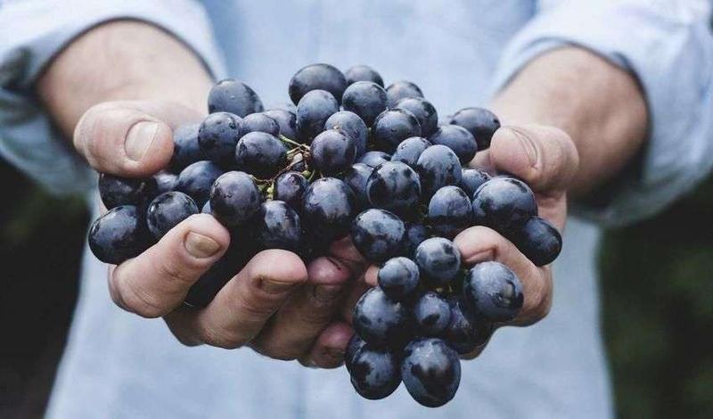 时装上新，限定外观限时获取