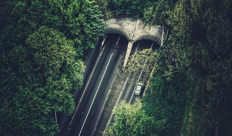 经济系统优化，交易环境更健康